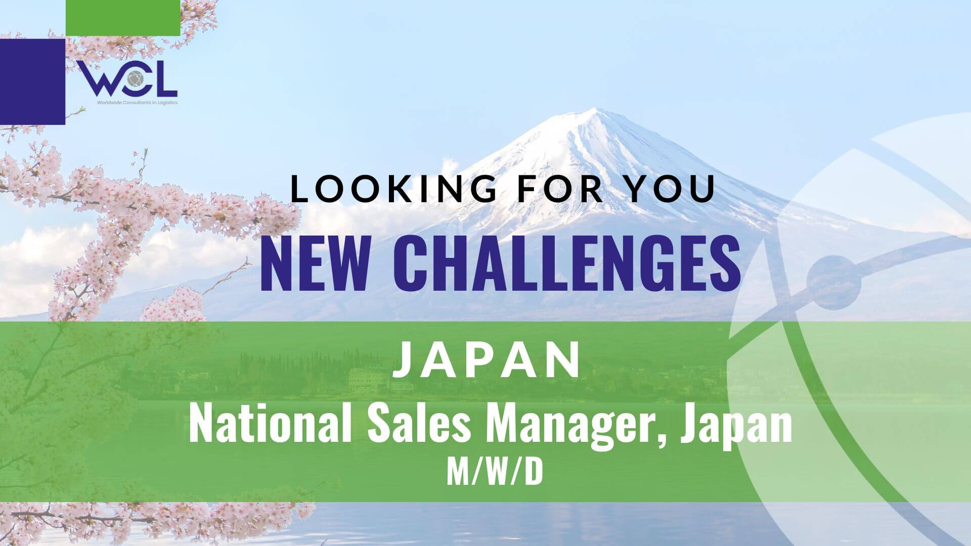 National Sales Manager Japan MWD