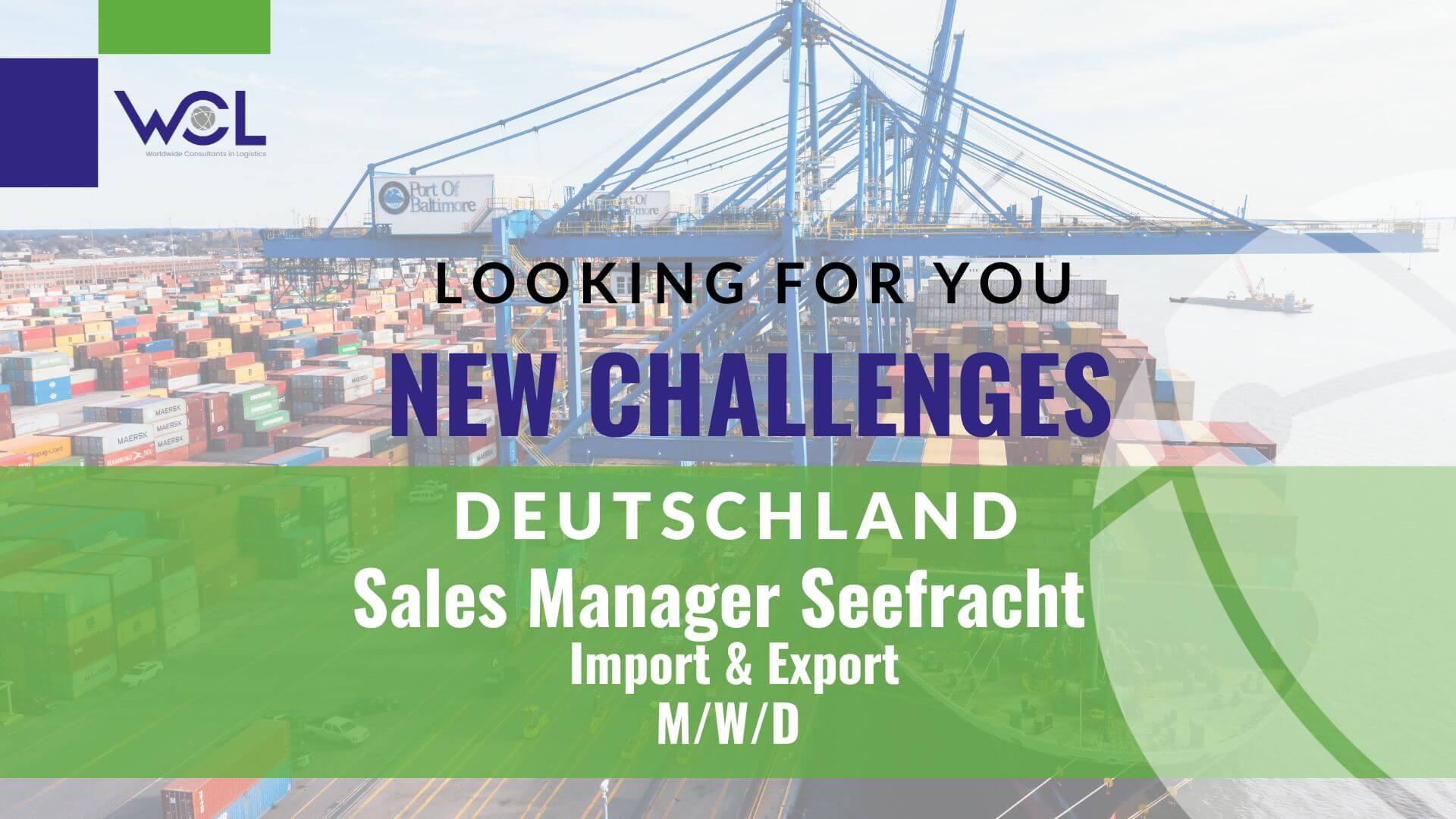 Sales Manager Seefracht Deutschland
