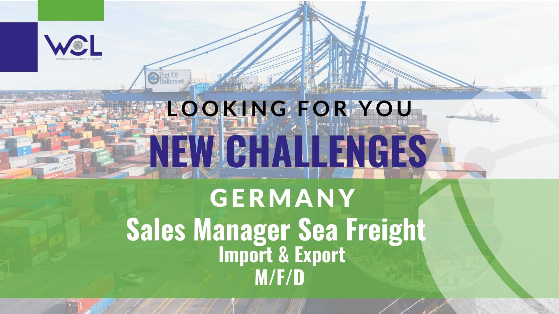 Sales Manager Seafreight Germany